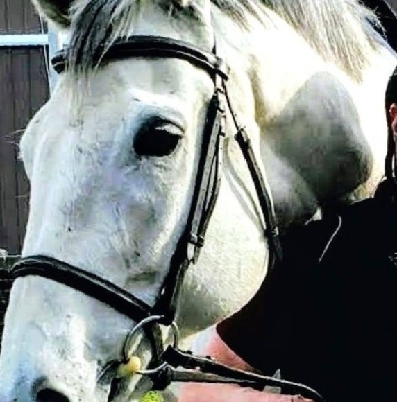 Meet your Posher, Joanne - Picture 1 of 1